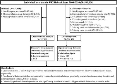 Linear and non-linear Mendelian randomization analyses of sex-specific associations between sleep duration and hyperuricemia